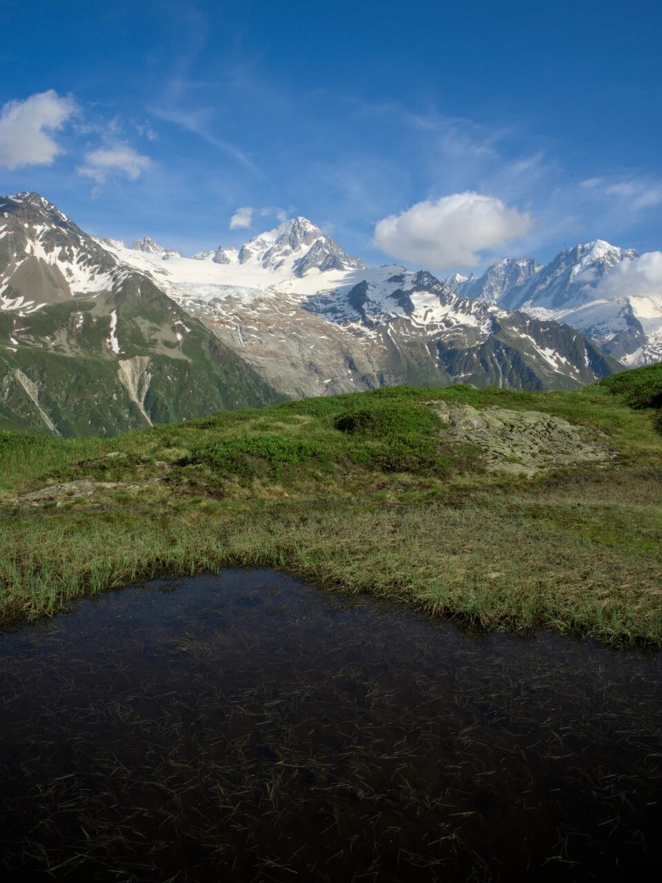 Alpine pond and the Aiguille du Chardonnet en route to the Col de Balme