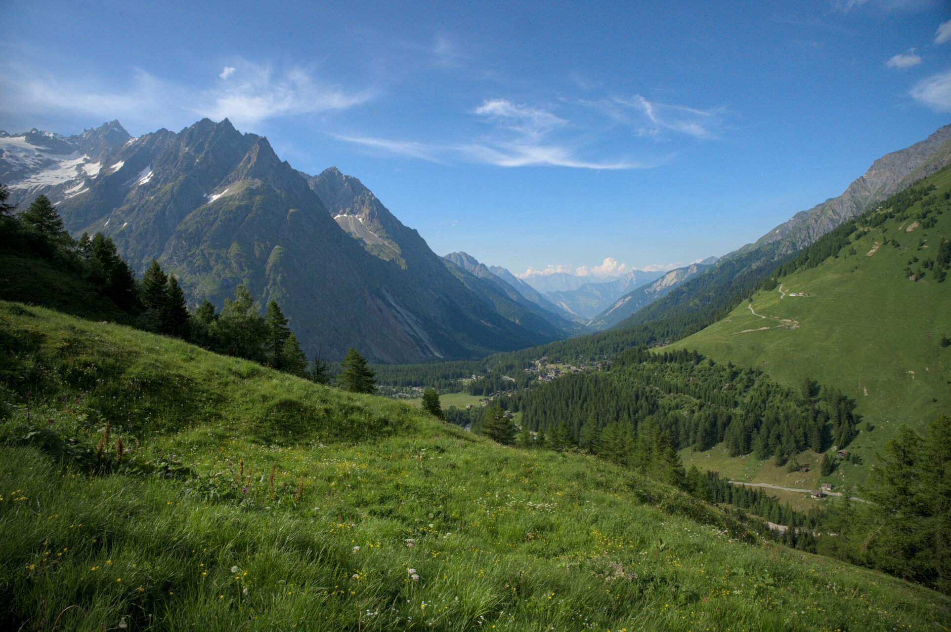 Swiss Val Ferret meadow with Mont Blanc glaciers behind