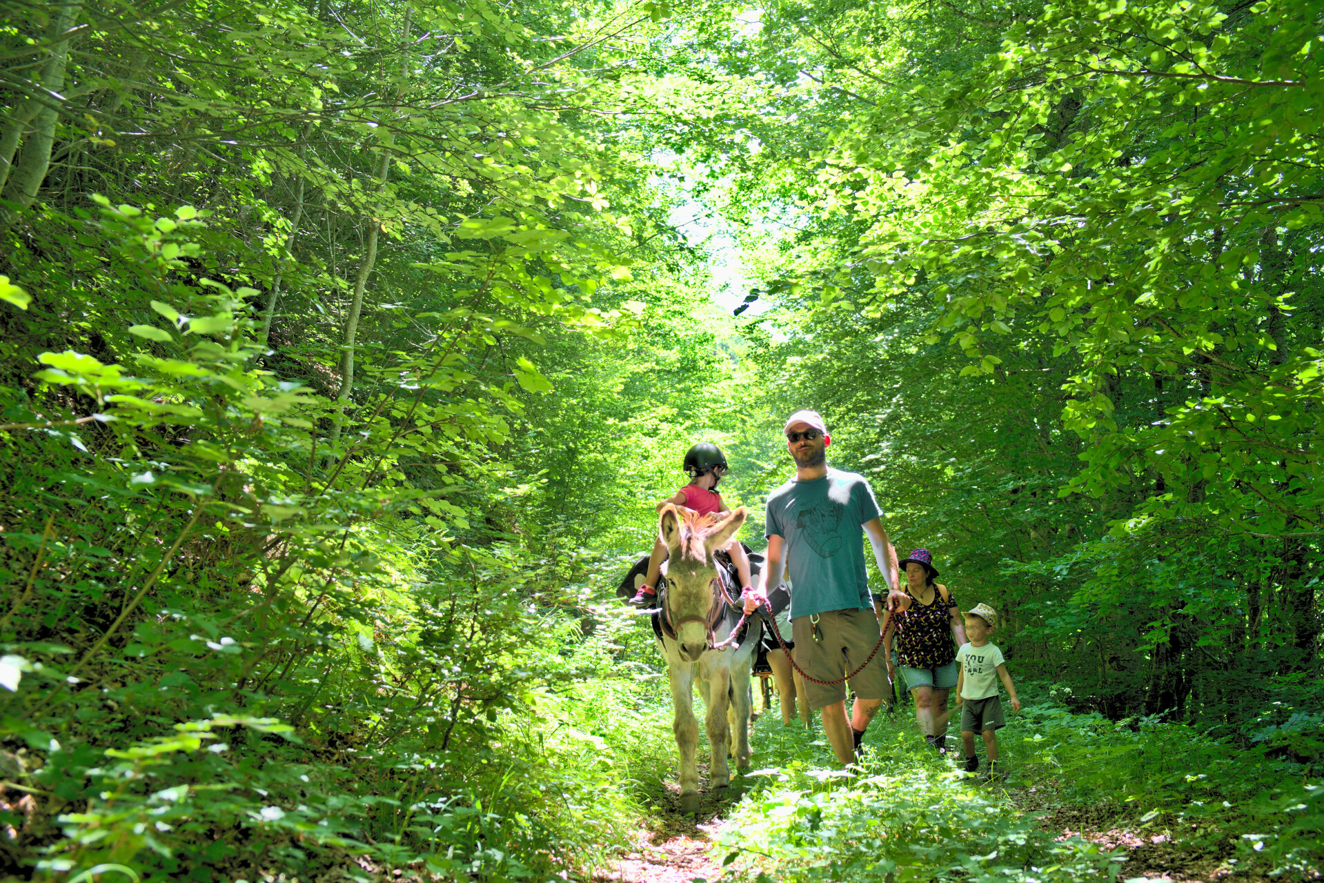 Donkey Mountain Hike in the French Alps 2026