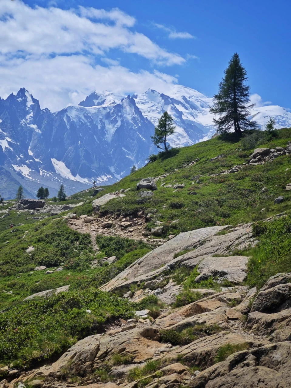 The path above the col des Montets, with the Mont-Blanc massif facing you the whole way up