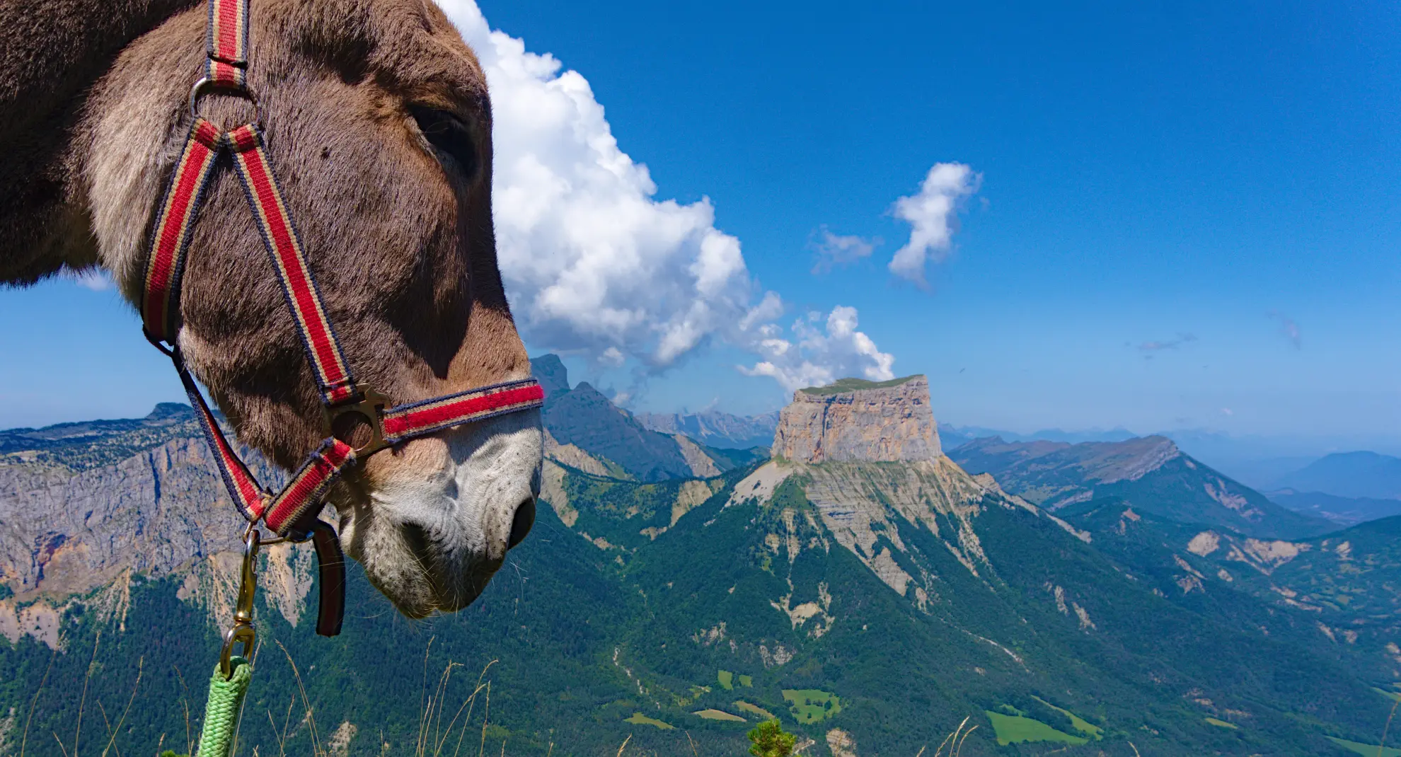 Crossing the Vercors High Plateaus with a donkey
